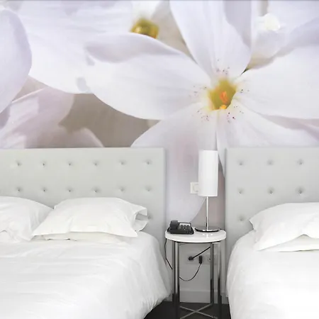 Otel Albe Saint Michel