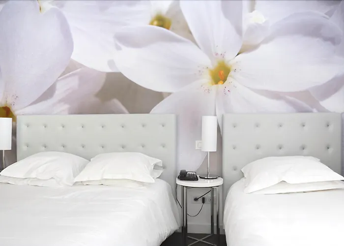 호텔 알베 생 미셸